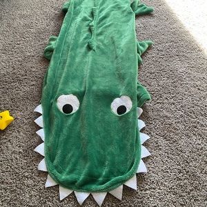Dinosaur blanket